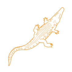 Animals Crocodilians Saltwater Crocodile Outline Svg File, Free Vectors File
